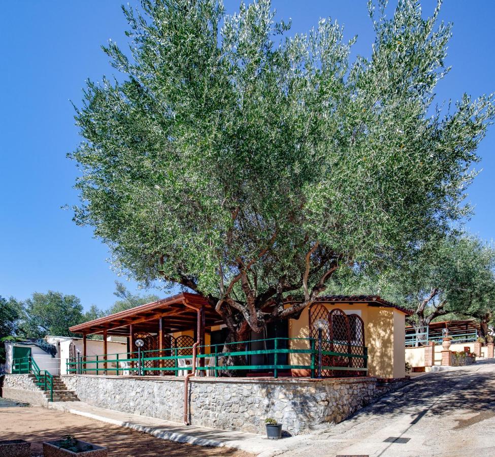 Villaggio Residence Pietra Grigia Marina di Camerota Dış mekan fotoğraf