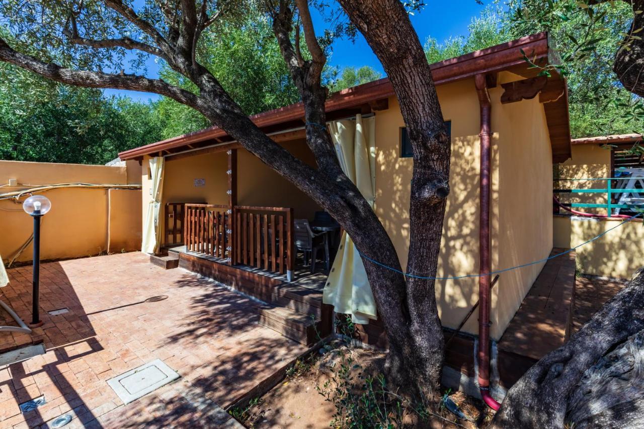 Villaggio Residence Pietra Grigia Marina di Camerota Dış mekan fotoğraf